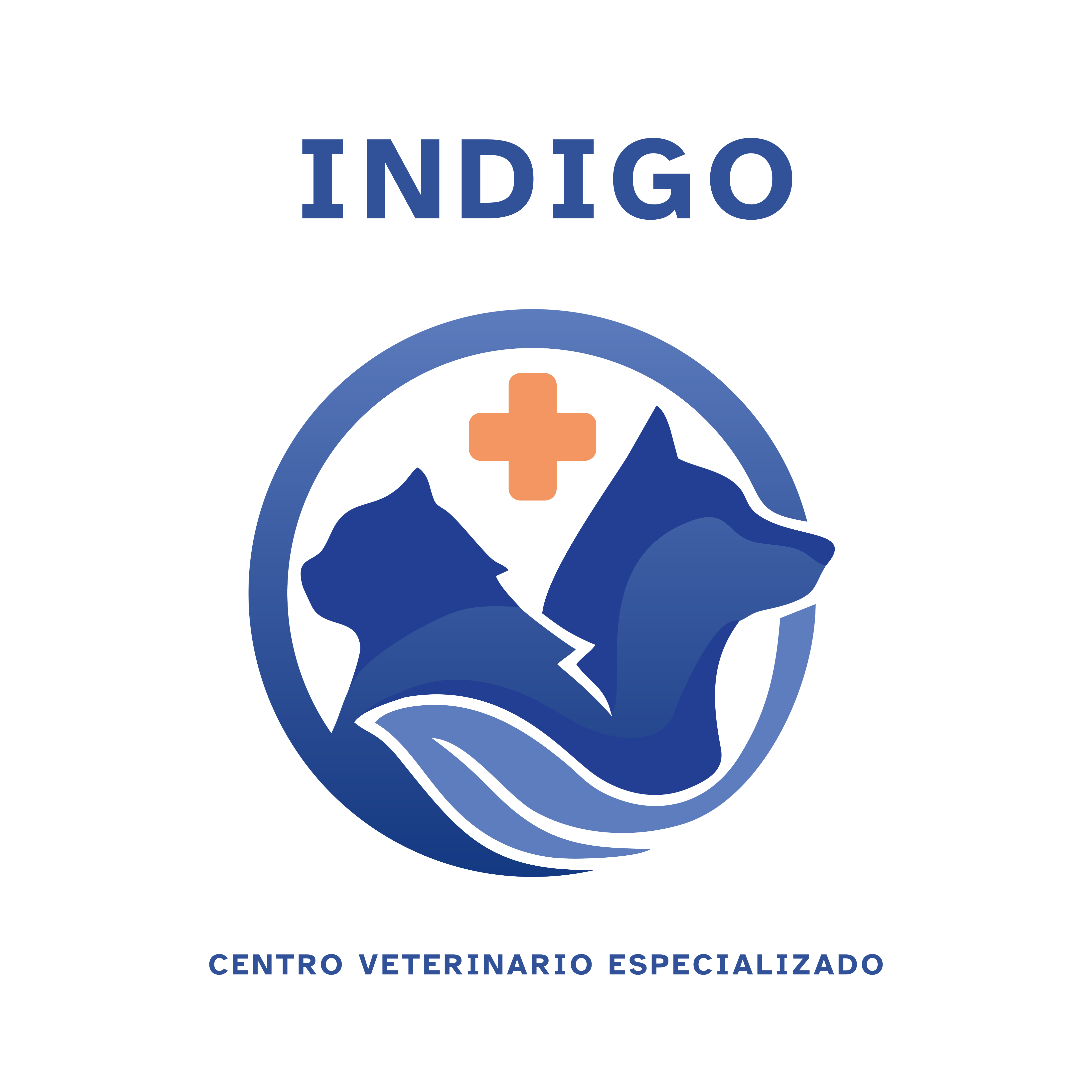 Centro Veterinario Indigo