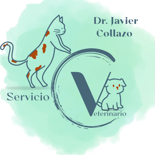 Veterinario a Domicilio Javier Collazo DMV